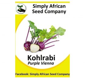 Kohlabri (Purple Vienna) Seeds