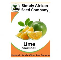 Lime (Calamansi) Seeds