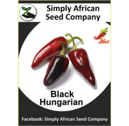 Black Hungarian Chilli Seeds