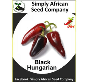 Black Hungarian Chilli Seeds