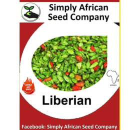 Liberian Chilli Pepper Seeds