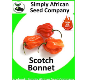 Scotch Bonnet Seeds