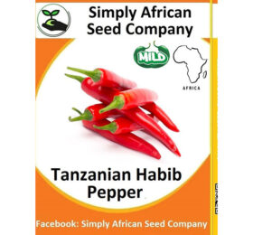 Tanzanian Habib Pepper Seeds