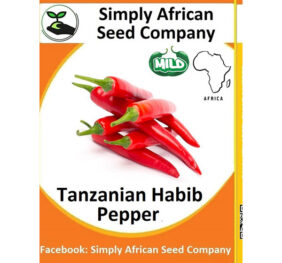 Tanzanian Habib Pepper Seeds