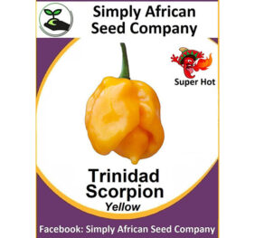 Yellow Trinidad Scorpion Seeds