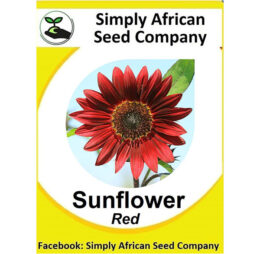 Sunflower Red 15’s