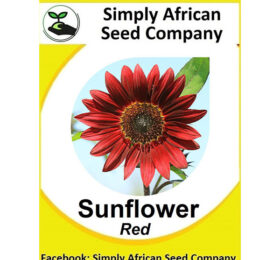 Sunflower Red Seeds