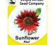Sunflower Red Seeds