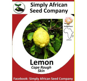Cape Rough Lemon Seeds