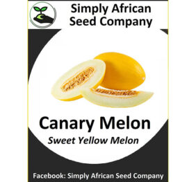 Melon Canary Yellow Seeds