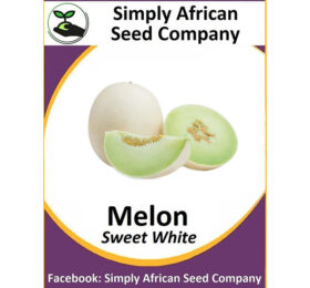 Melon Sweet White (Honeydew) (15’s)