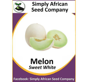 Melon Sweet White (Honeydew) (15’s)