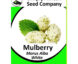 White Mulberry Seeds