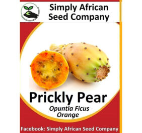 Orange Prickley Pear Seeds