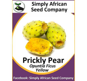 Yellow Prickley Pear Seeds