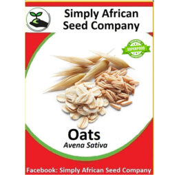 Oat Seeds