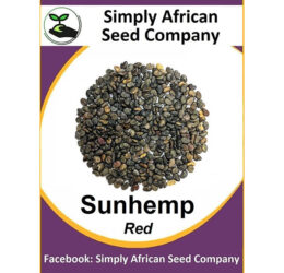 Sunhemp Seeds