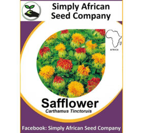 Grain Safflower Seeds