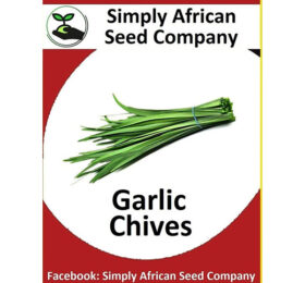 Garlic Chive Seeds