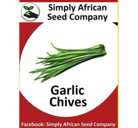 Garlic Chive Seeds