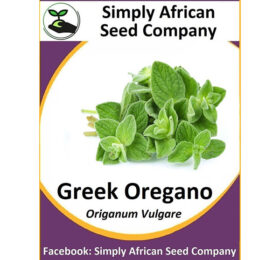 Greek Oregano Seeds