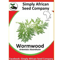 Wormwood Seeds