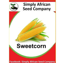 Sweet Corn Seeds