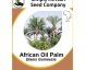 African Oil Palm Seeds