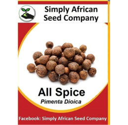 All Spice (Pimenta Dioica) Seeds