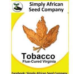 Tobacco Virginia Flue Cured Seeds