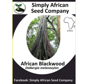 African Blackwood (Dalbergia Melanoxylon)