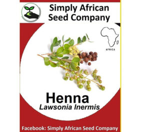 Henna (Lawsonia Inermis) Seeds