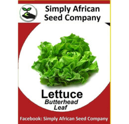 Lettuce Butterhead Seeds