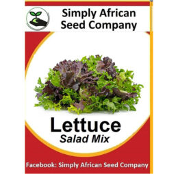Lettuce Leaf Mixed Seeds