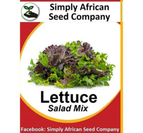 Lettuce Leaf Mixed Seeds