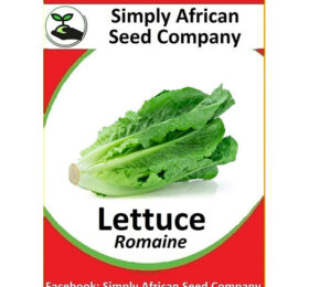 Lettuce Romaine (Italian) Seeds