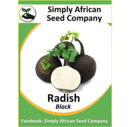 Radish Black Seeds