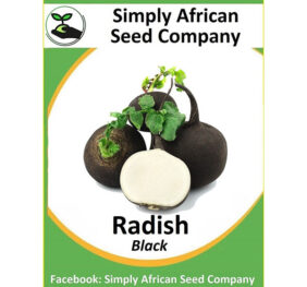 Radish Black Seeds
