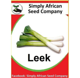 Leek Seeds
