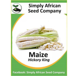 Maize Hickory King Seeds