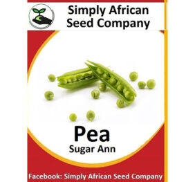 Pea Sugar Ann Seeds