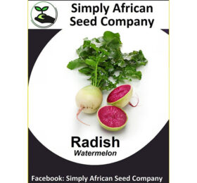 Radish  (Watermelon) Seeds