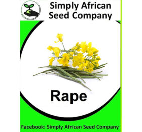 Rape (Rapeseed) Seeds