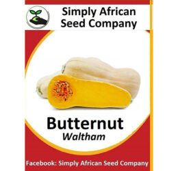 Butternut Waltham Seeds