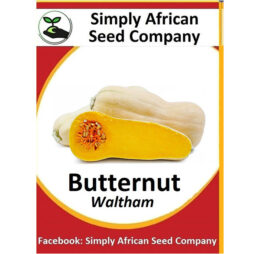 Butternut Waltham Seeds