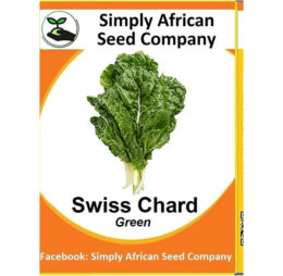Swiss Chard Green Seeds