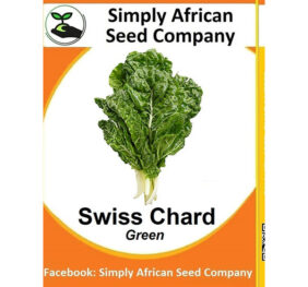Swiss Chard Green Seeds