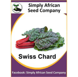 Swiss Chard Red Seeds