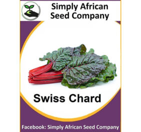 Swiss Chard Red Seeds