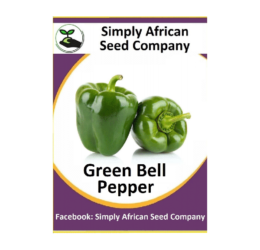 Green Bell Pepper 30’s